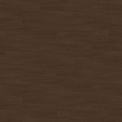 萊茵原野 Rhine Wilderness