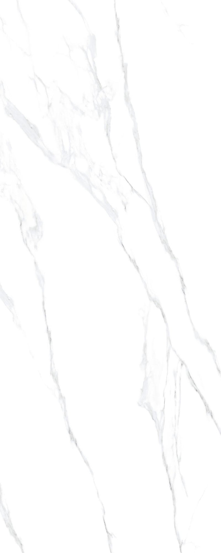 意大利大花白 - 80x200