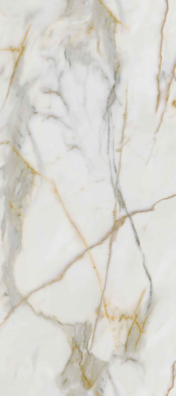 卡拉卡塔金MAX連紋 CALACATTA IMPERIAL GOLD MAX-L