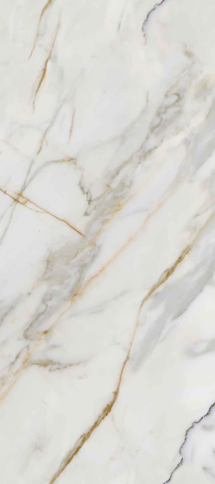 卡拉卡塔金MAX連紋 CALACATTA IMPERIAL GOLD MAX-L