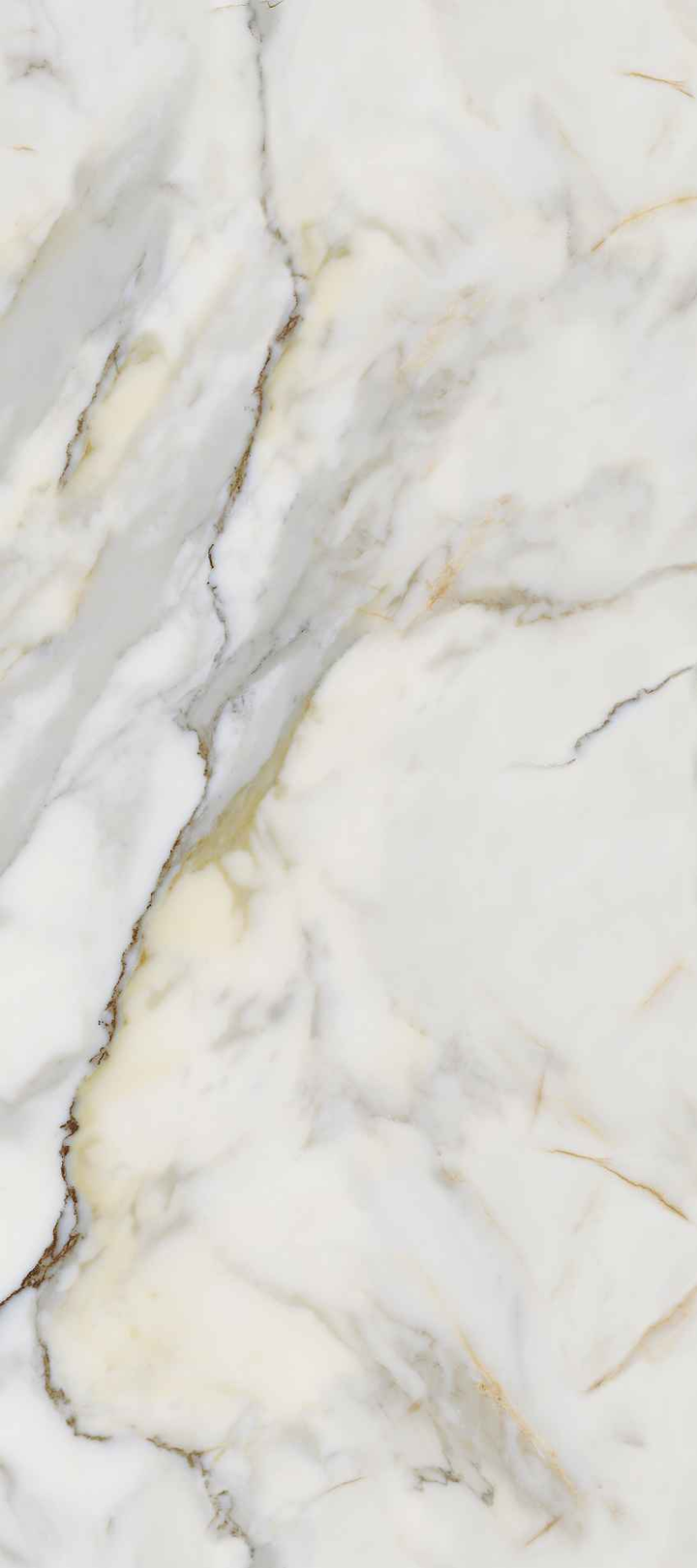 卡拉卡塔金MAX連紋 CALACATTA IMPERIAL GOLD MAX-L