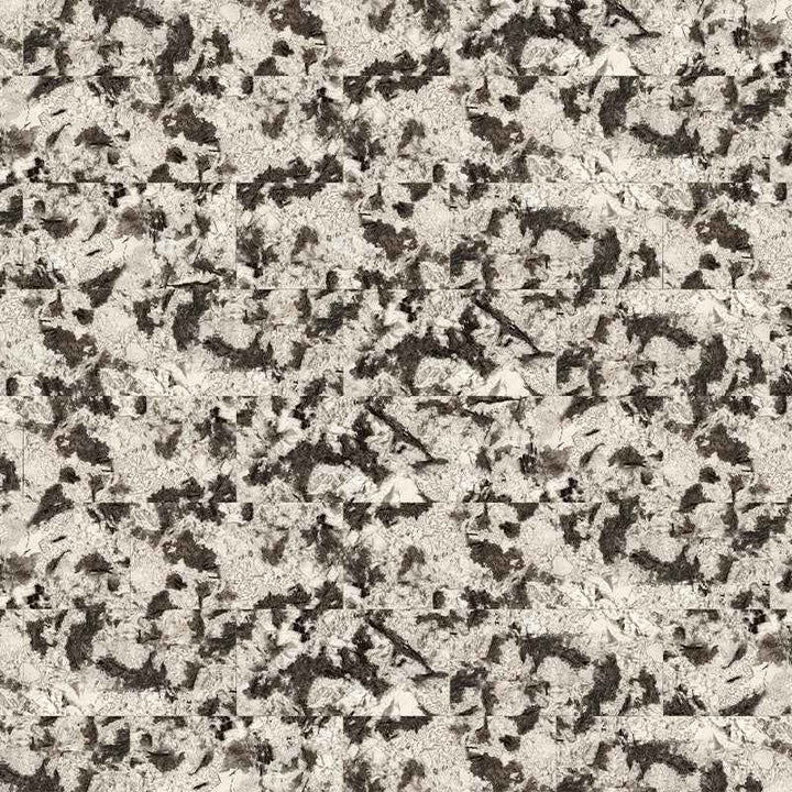 雪山銀狐 Jokul Silver White