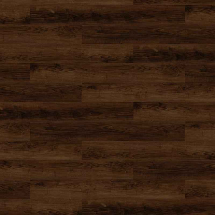 北美栗胡桃Ⅱ Walnut American Nut