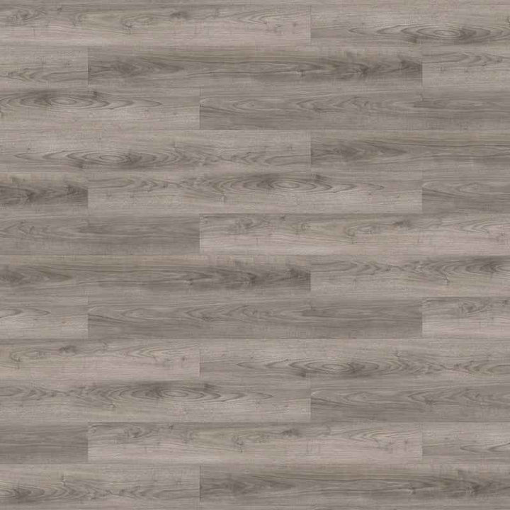 北美銀胡桃Ⅱ Walnut American Silver